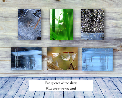Poetry of Nature Greeting Card Collection - Spirit and Myth